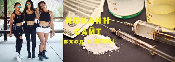 эйфоретик Дмитриев