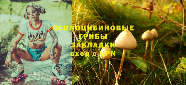 трава Дмитров