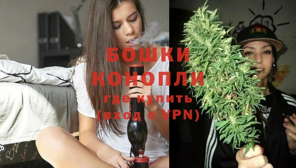 эйфоретик Дмитриев