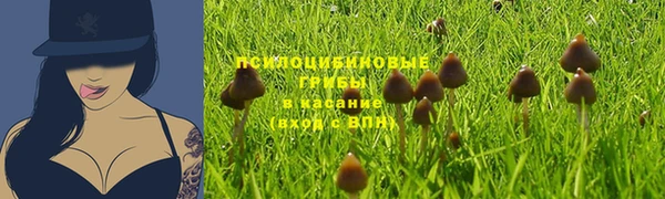 трава Дмитров